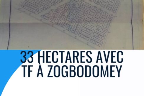33 hectares avet TF a zogbodomey