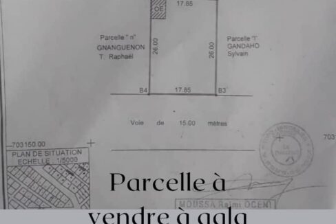 parcelle a vendre a agla pont