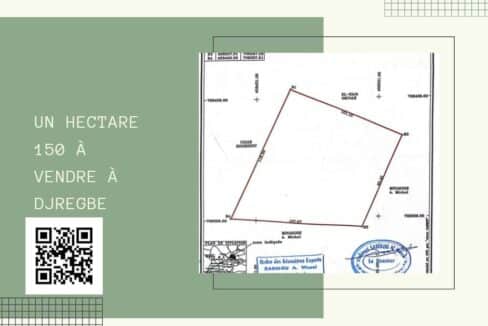 1 hectare et plus a vendre a Djregbe