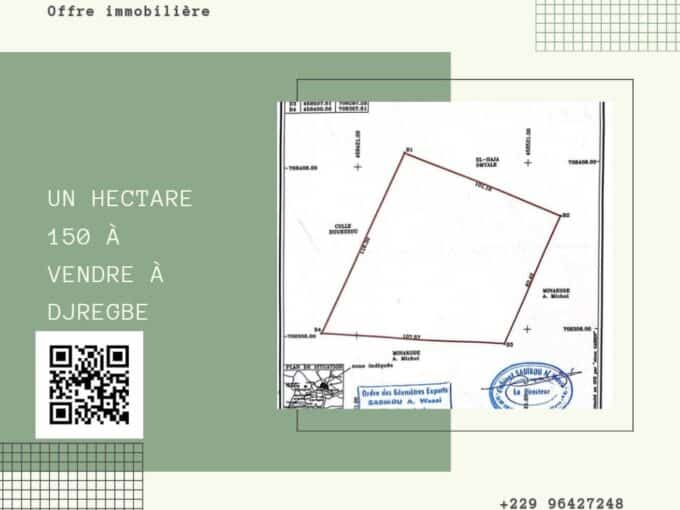 1 hectare et plus a vendre a Djregbe