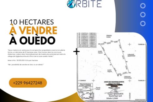 10 hectares a vendre a ouedo