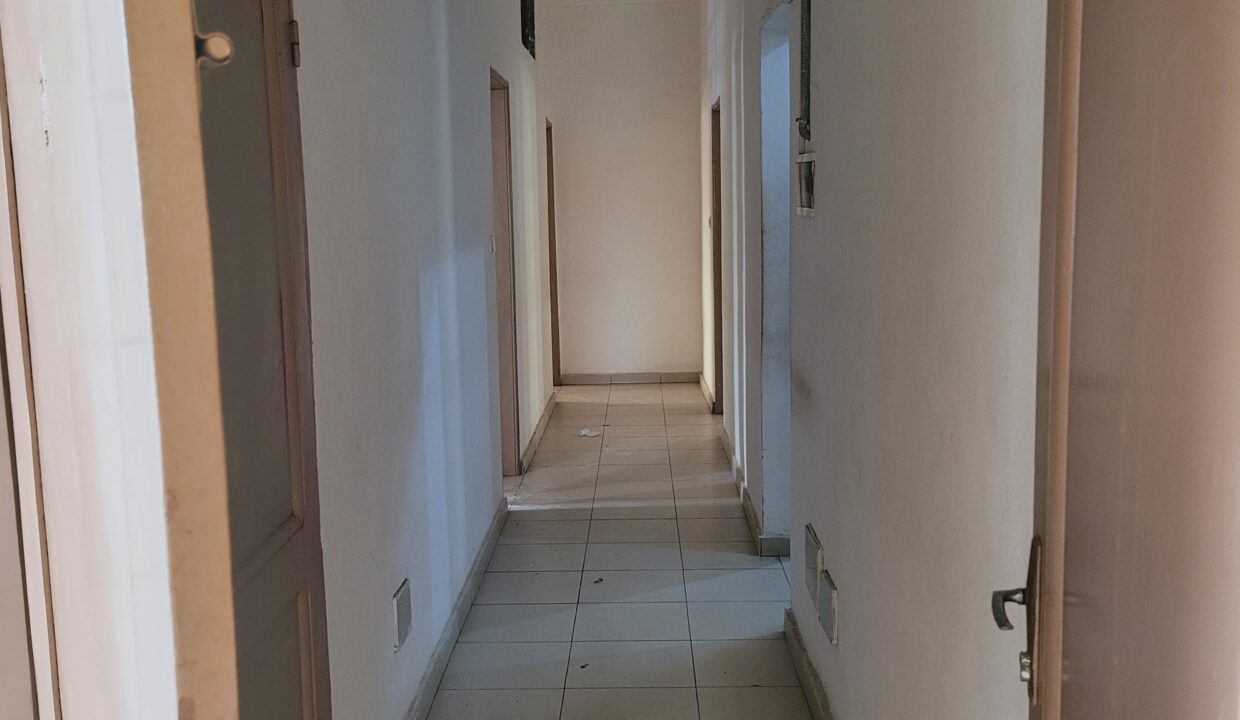 20250429_121217-min