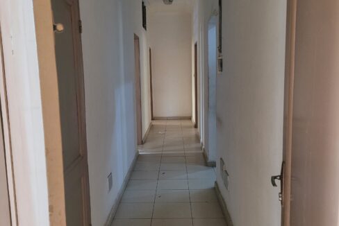 20250429_121217-min