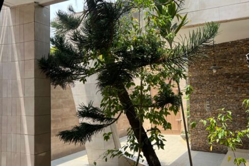 jardin
