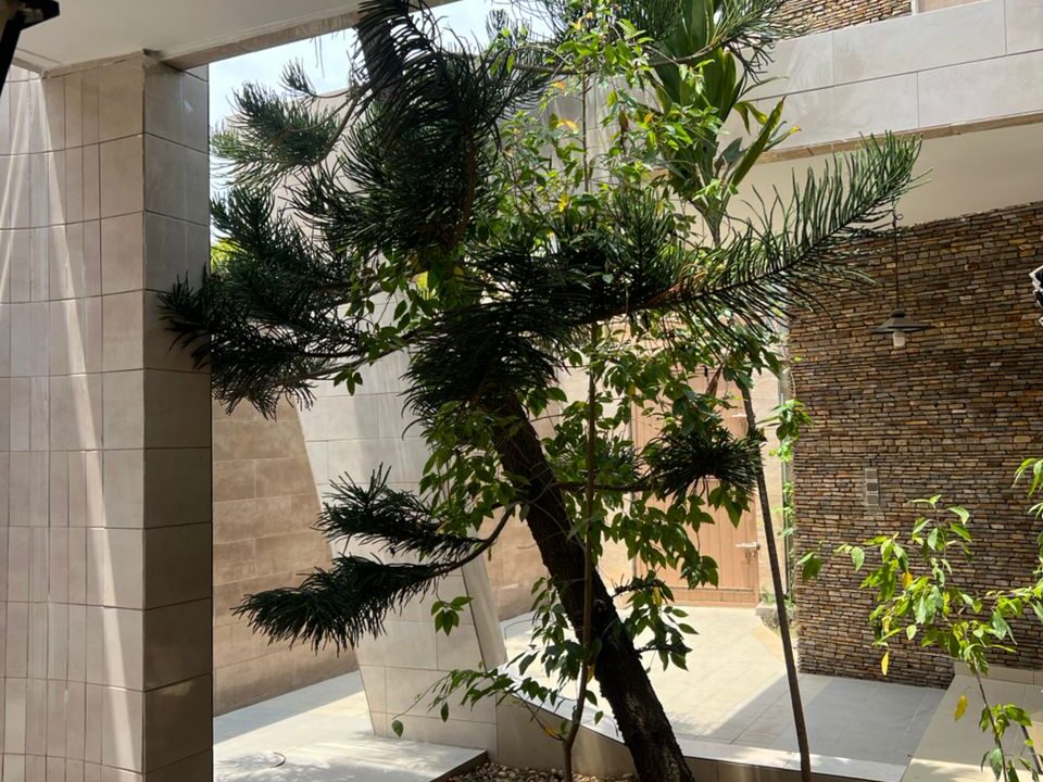 jardin