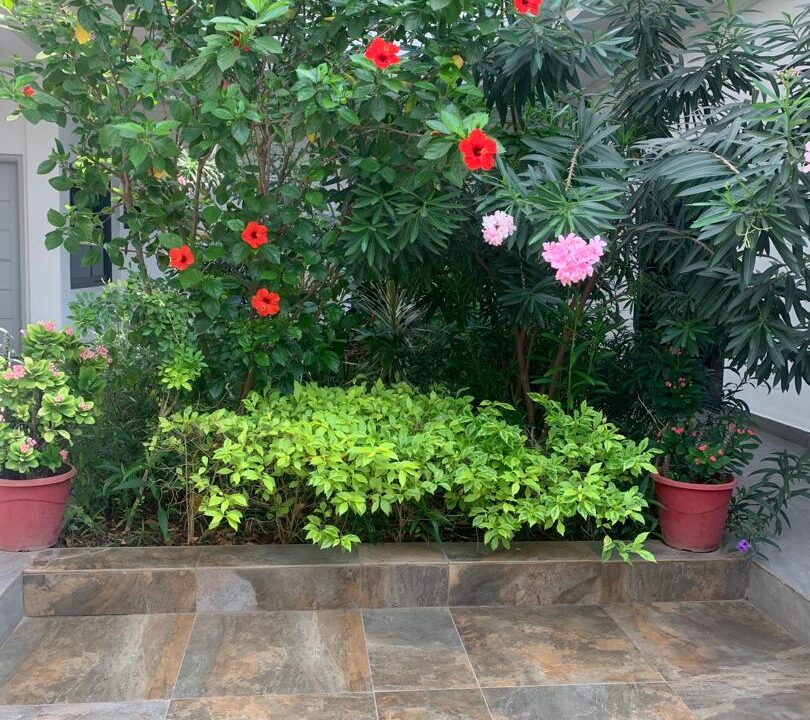 villa vue sur mer a vendre a fidjrosse , jardin