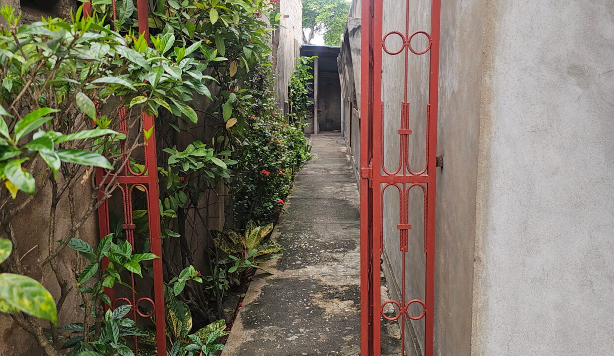 jardin