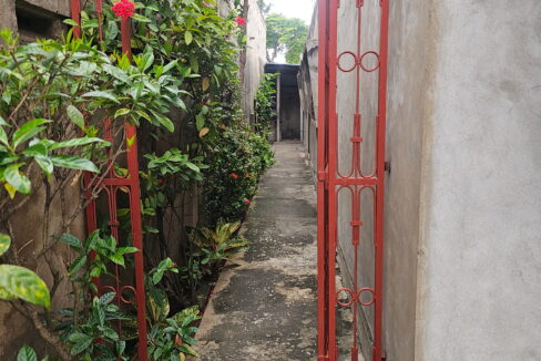 jardin